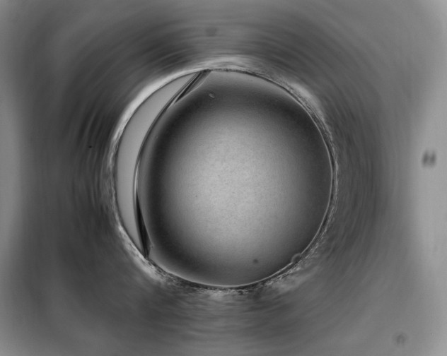 X0000099310816200805021313