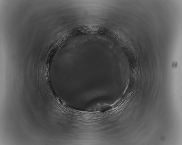 X0000099310818200805021312