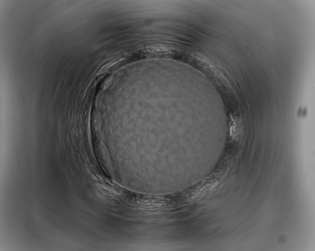 X0000099310819200805021312