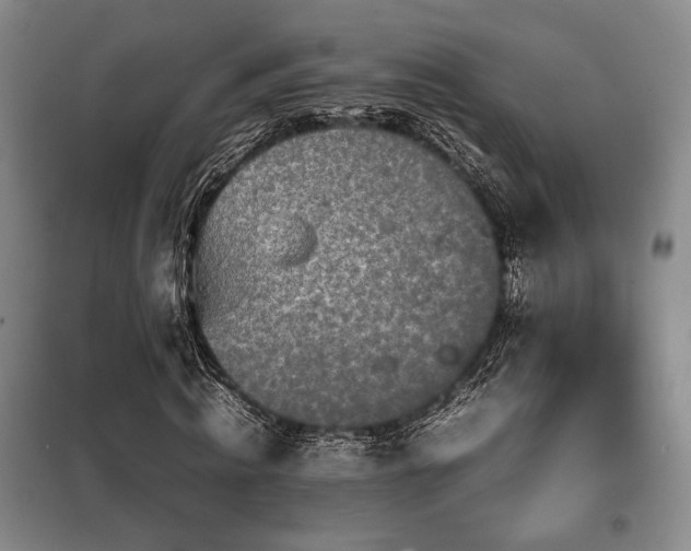X0000099310820200805021312