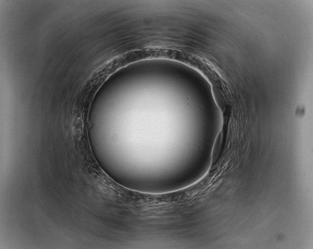X0000099310821200805021312
