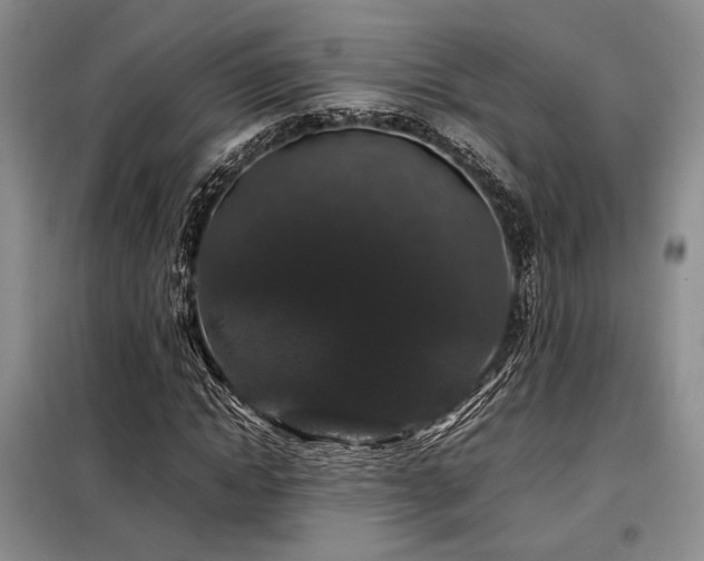 X0000099310822200805021312