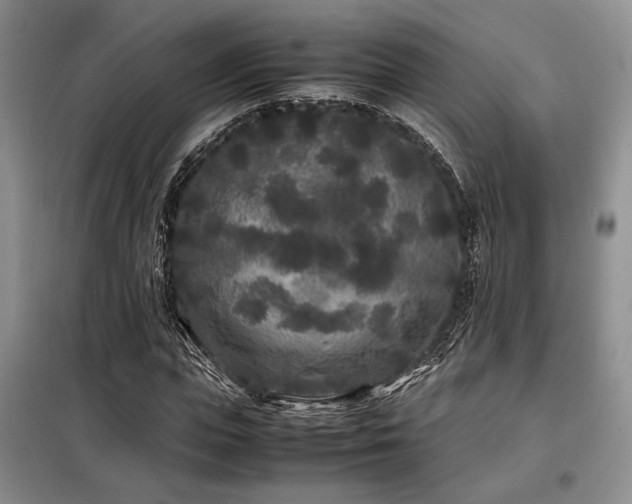 X0000099310823200805021312