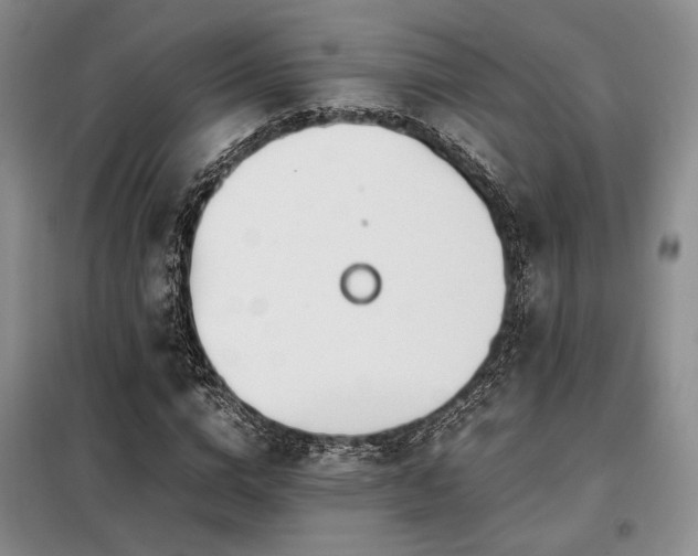 X0000099310824200805021312