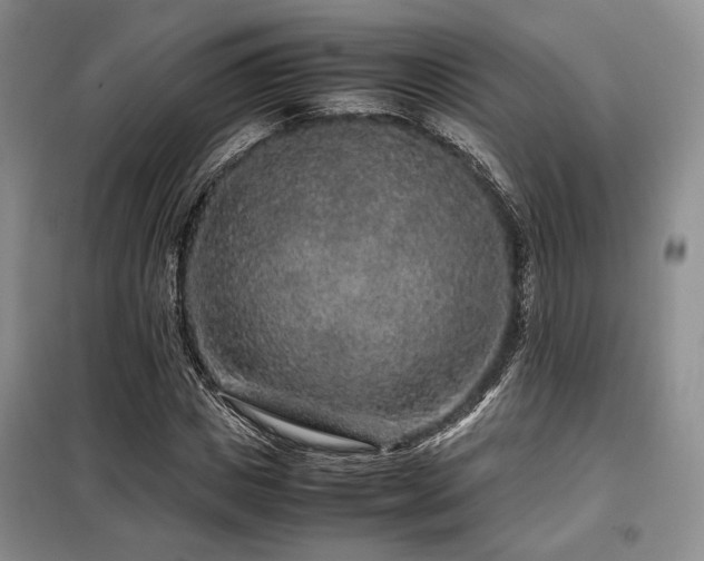 X0000099310825200805021312