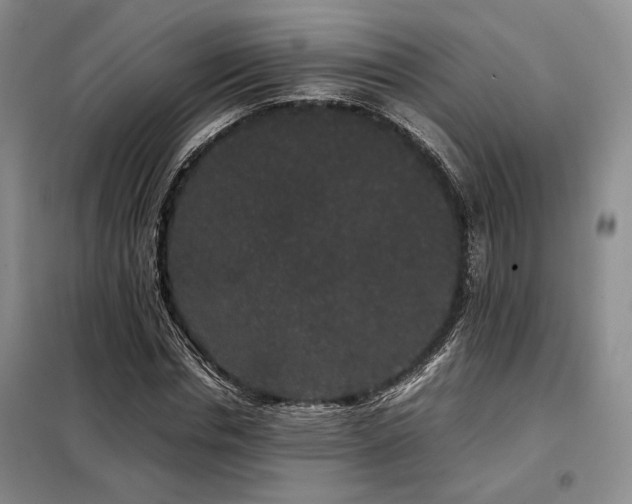 X0000099310826200805021312