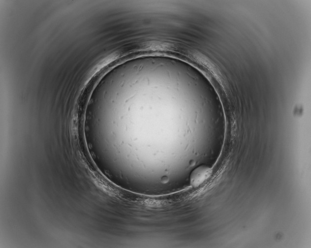 X0000099310827200805021312
