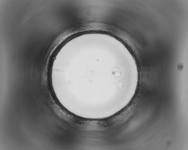X0000099310828200805021312