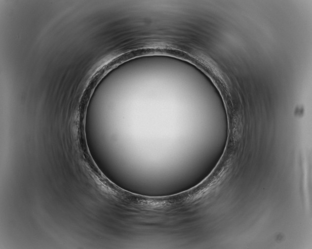 X0000099310831200805021312