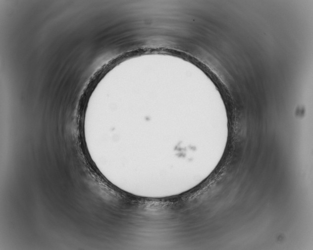 X0000099310832200805021312