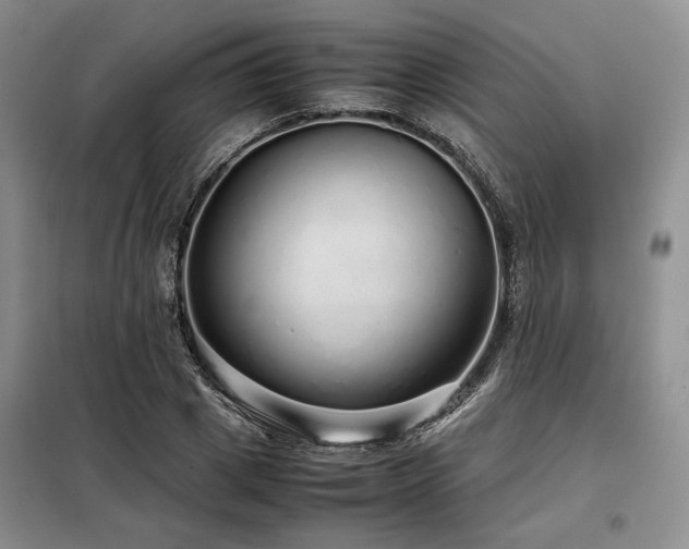 X0000099310833200805021312