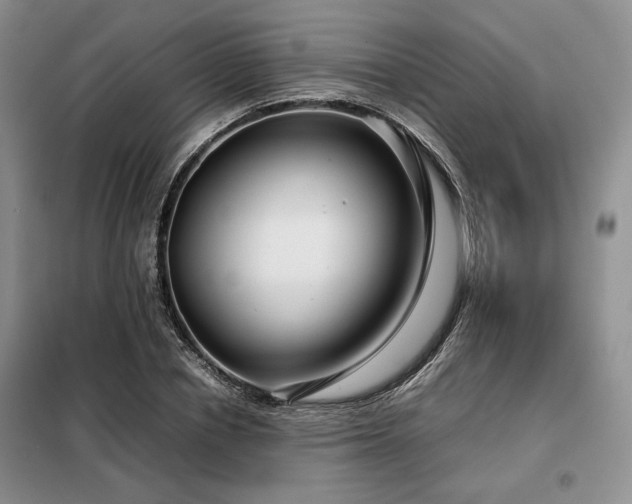 X0000099310834200805021312