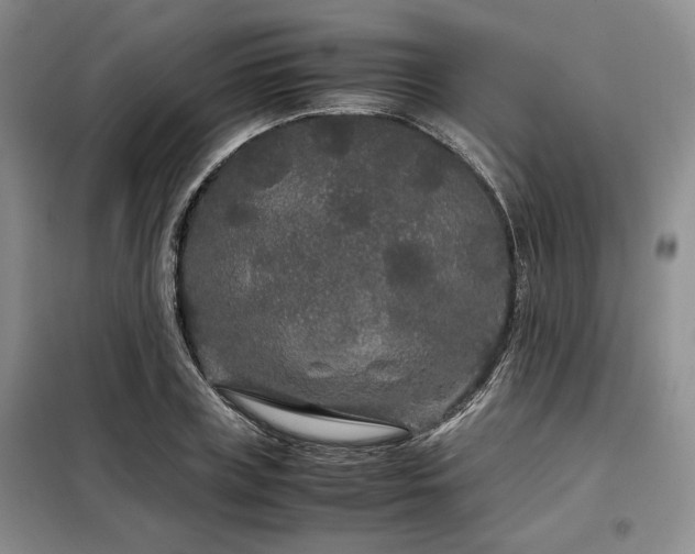 X0000099310835200805021312