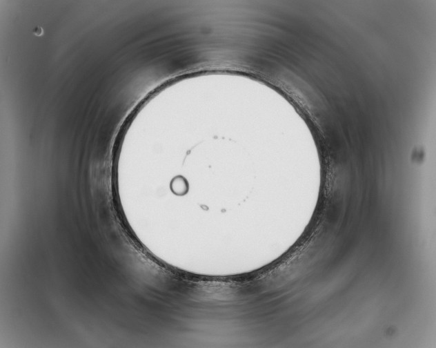 X0000099310836200805021312
