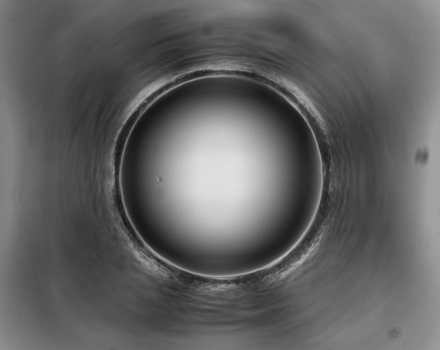 X0000099310837200805021312