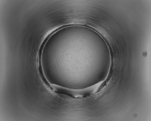 X0000099310838200805021312