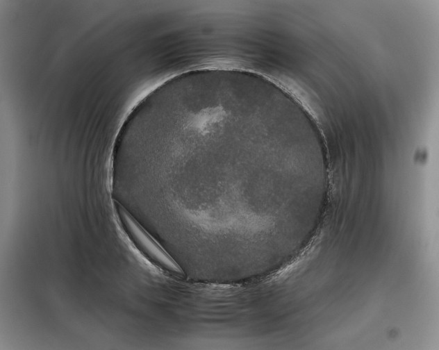 X0000099310839200805021312