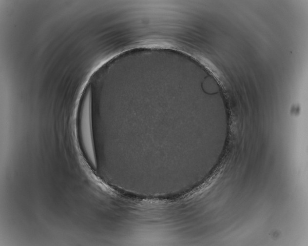 X0000099310840200805021312