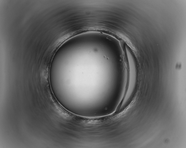 X0000099310841200805021312