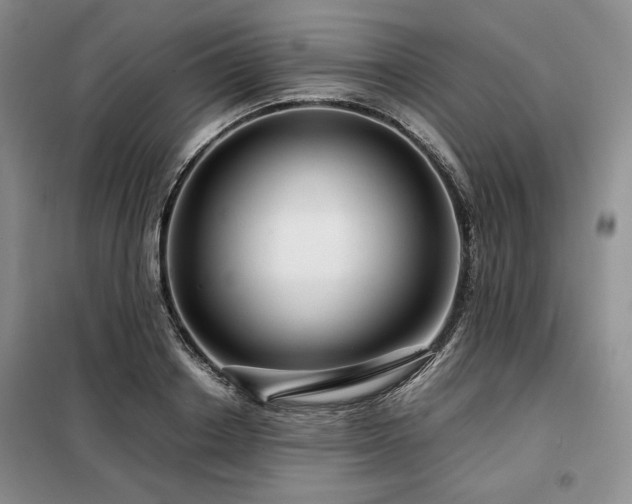 X0000099310842200805021312