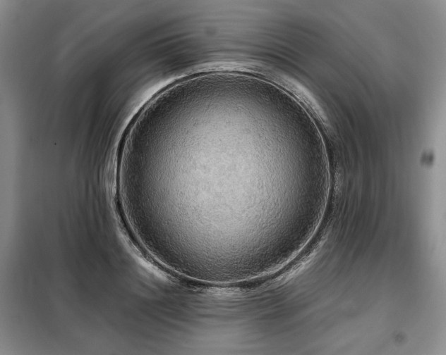 X0000099310844200805021312