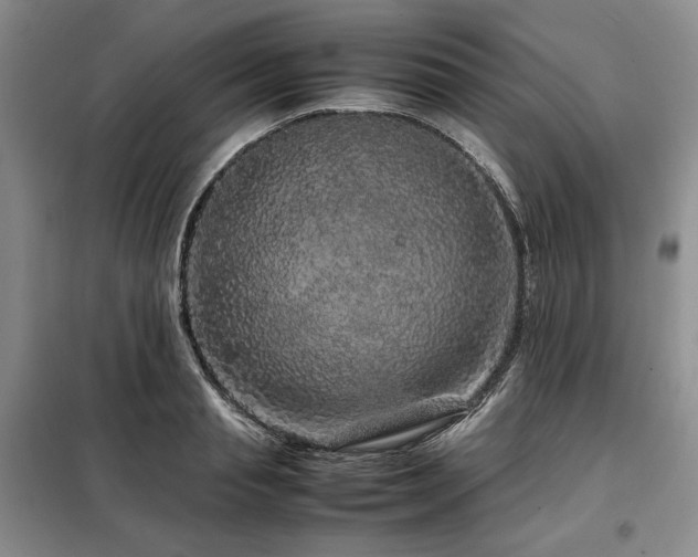 X0000099310845200805021312