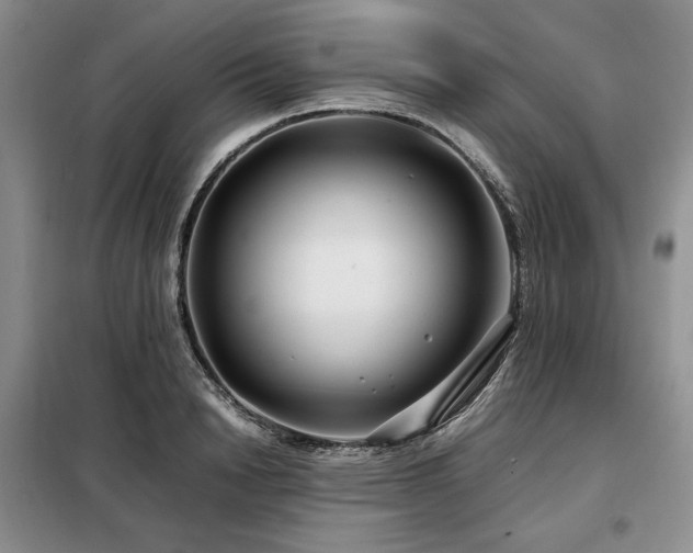 X0000099310846200805021312