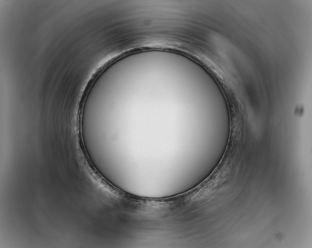 X0000099310848200805021312