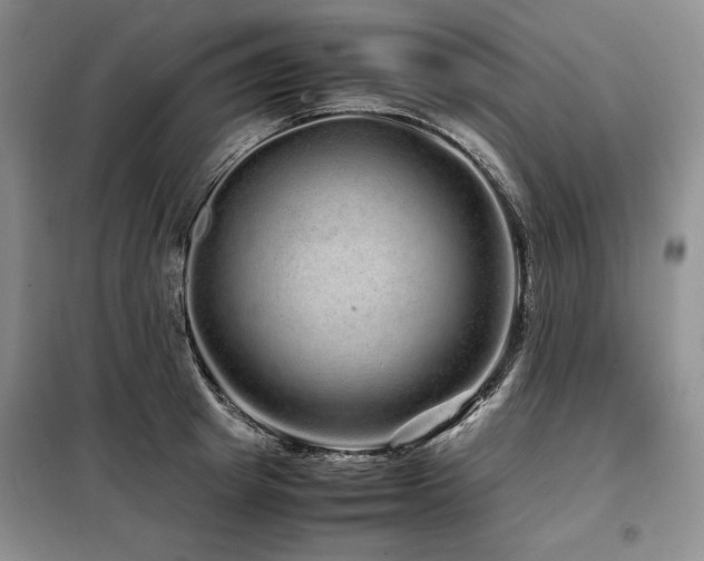 X0000099310849200805021312