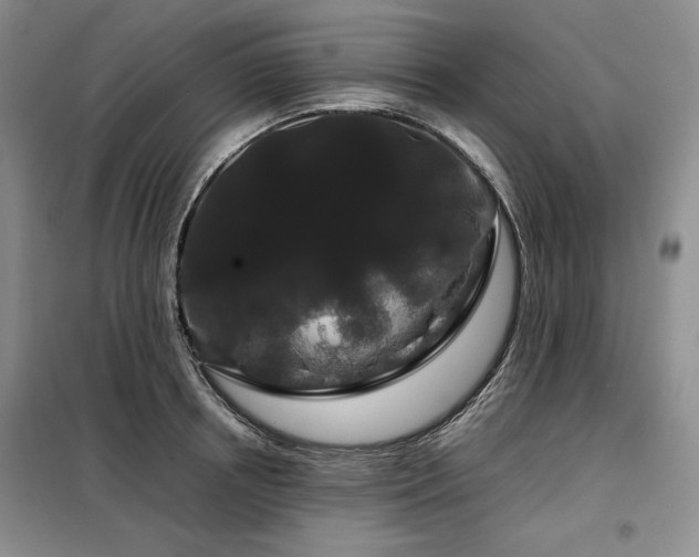X0000099310850200805021312