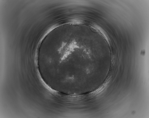 X0000099310851200805021312