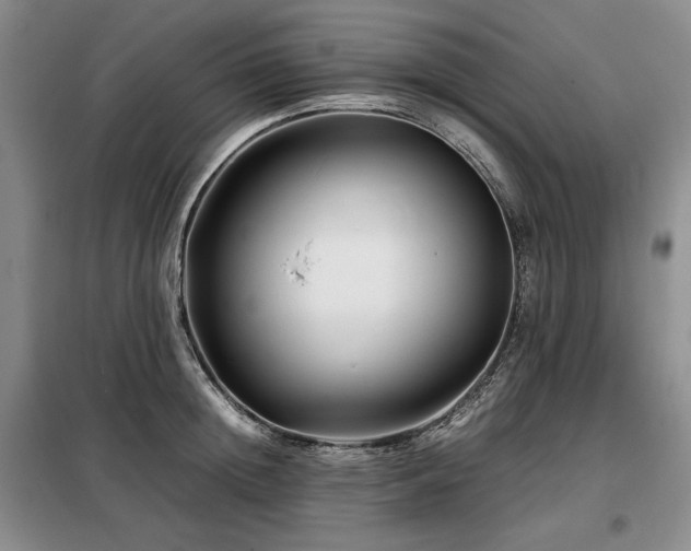 X0000099310852200805021312