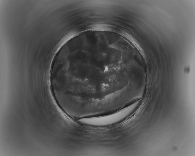 X0000099310853200805021312
