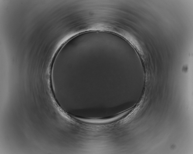 X0000099310854200805021312