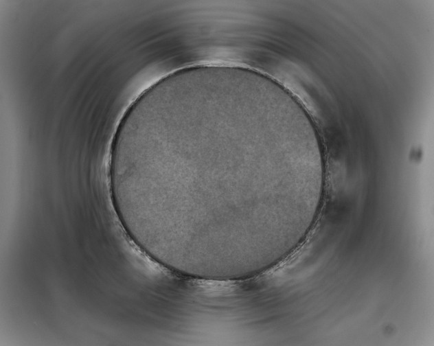 X0000099310856200805021312