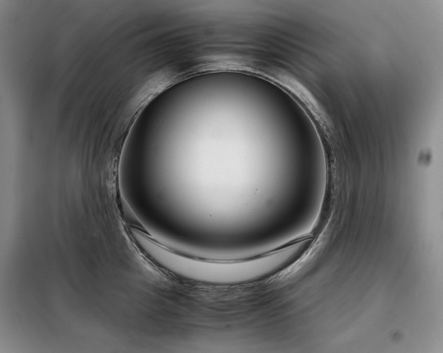 X0000099310857200805021312