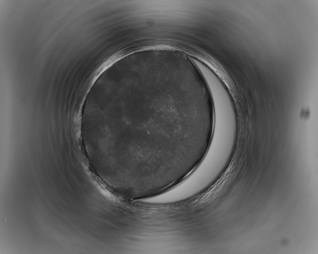 X0000099310858200805021312