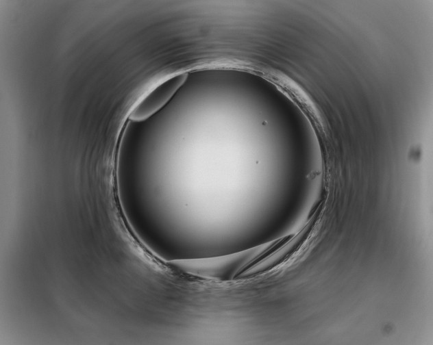 X0000099310860200805021312