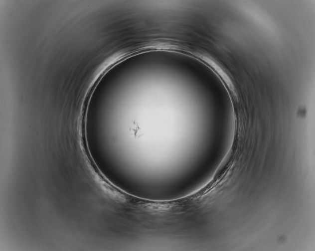 X0000099310861200805021312