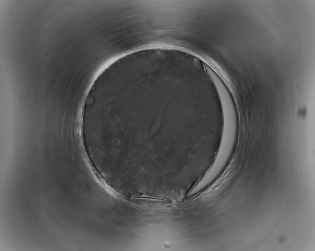 X0000099310862200805021313