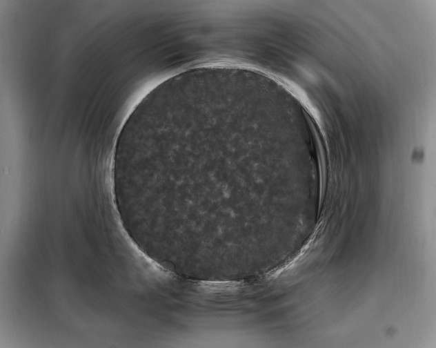 X0000099310863200805021313