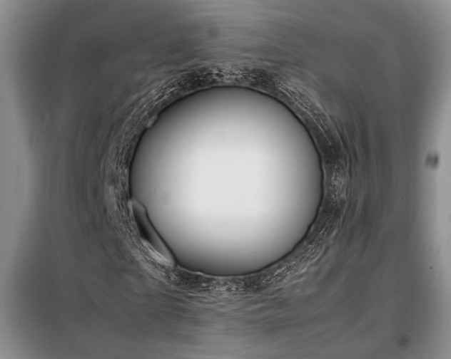 X0000099310865200805021312