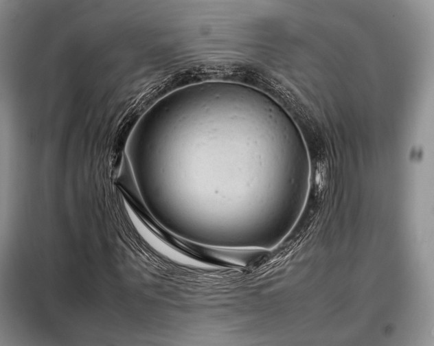 X0000099310867200805021312