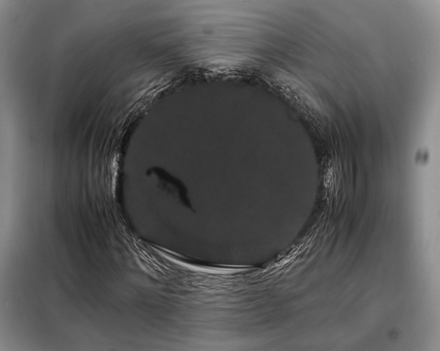 X0000099310868200805021312