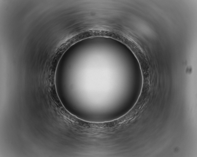 X0000099310870200805021312