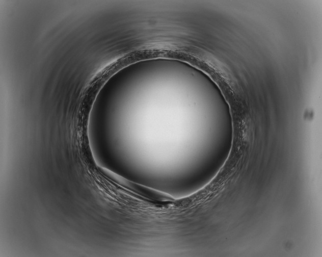 X0000099310872200805021312