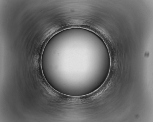 X0000099310873200805021312