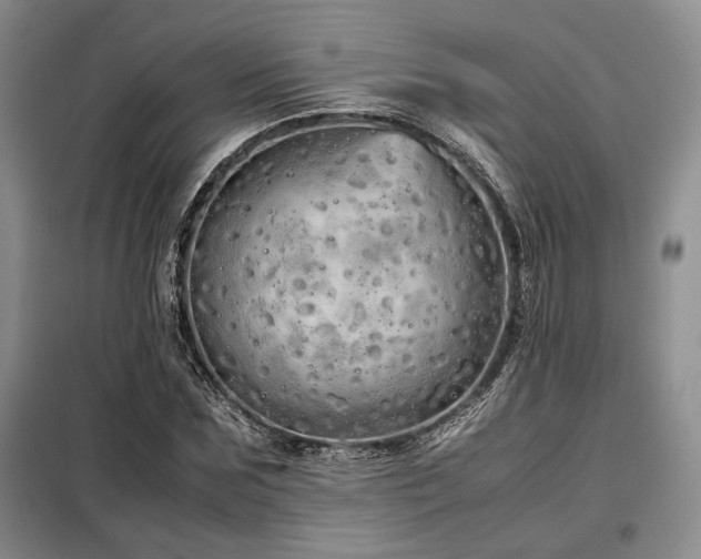 X0000099310875200805021312