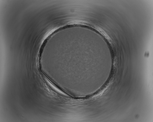 X0000099310877200805021312