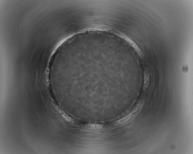 X0000099310878200805021312
